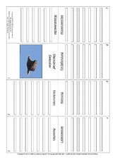 Faltbuch-Seeadler.pdf